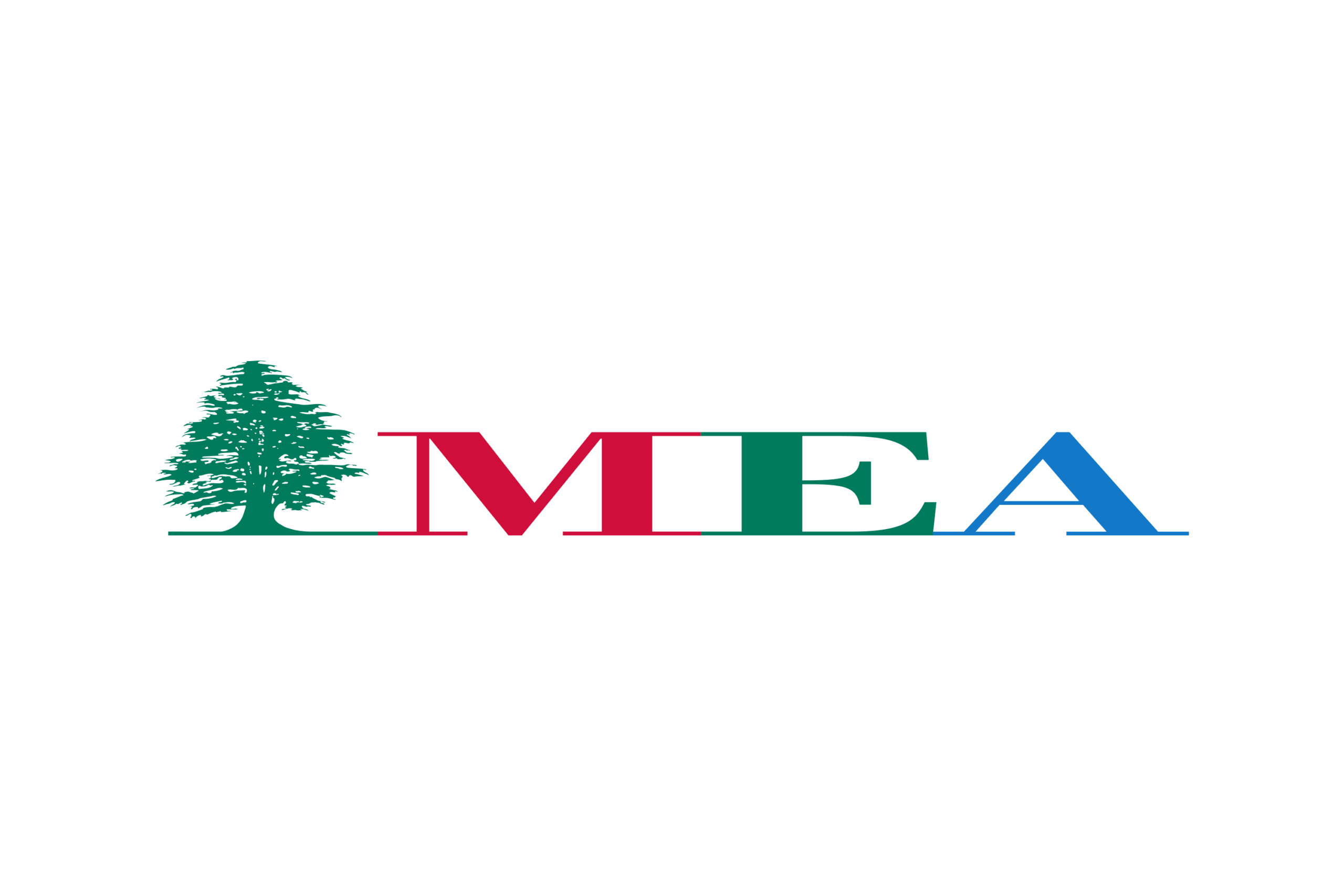 logo MEA
